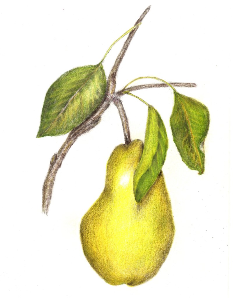 img20181013_11151386