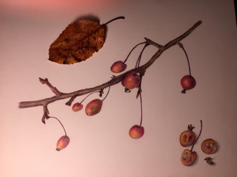 21dff643-de2e-40aa-a27e-cf0c5df43ecc