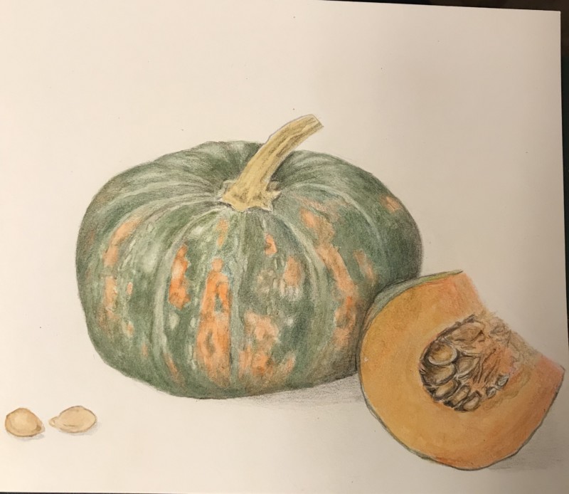 winter-squash-study