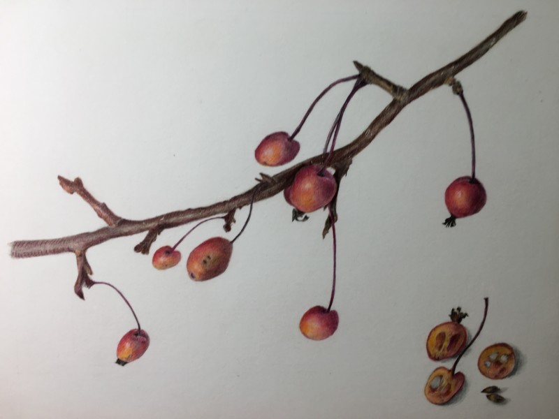 ecbce4d0-081d-4918-ac1b-77e40fb83b88