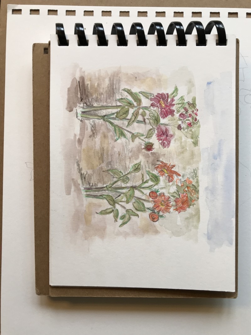 dahlia-plant-drawing-for-scale-exercise-near-and-far