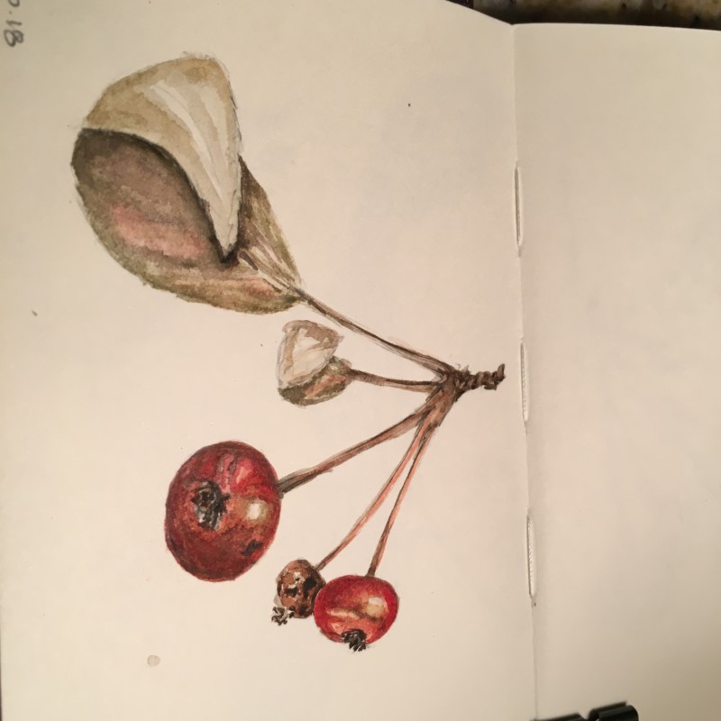 303488a5-322d-4084-94bf-19a54807606b