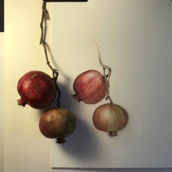 0ee0e92e-79d8-41b1-983f-796db69403c3