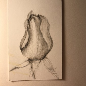 b193882a-ec5c-4556-b78e-04e295db4fda