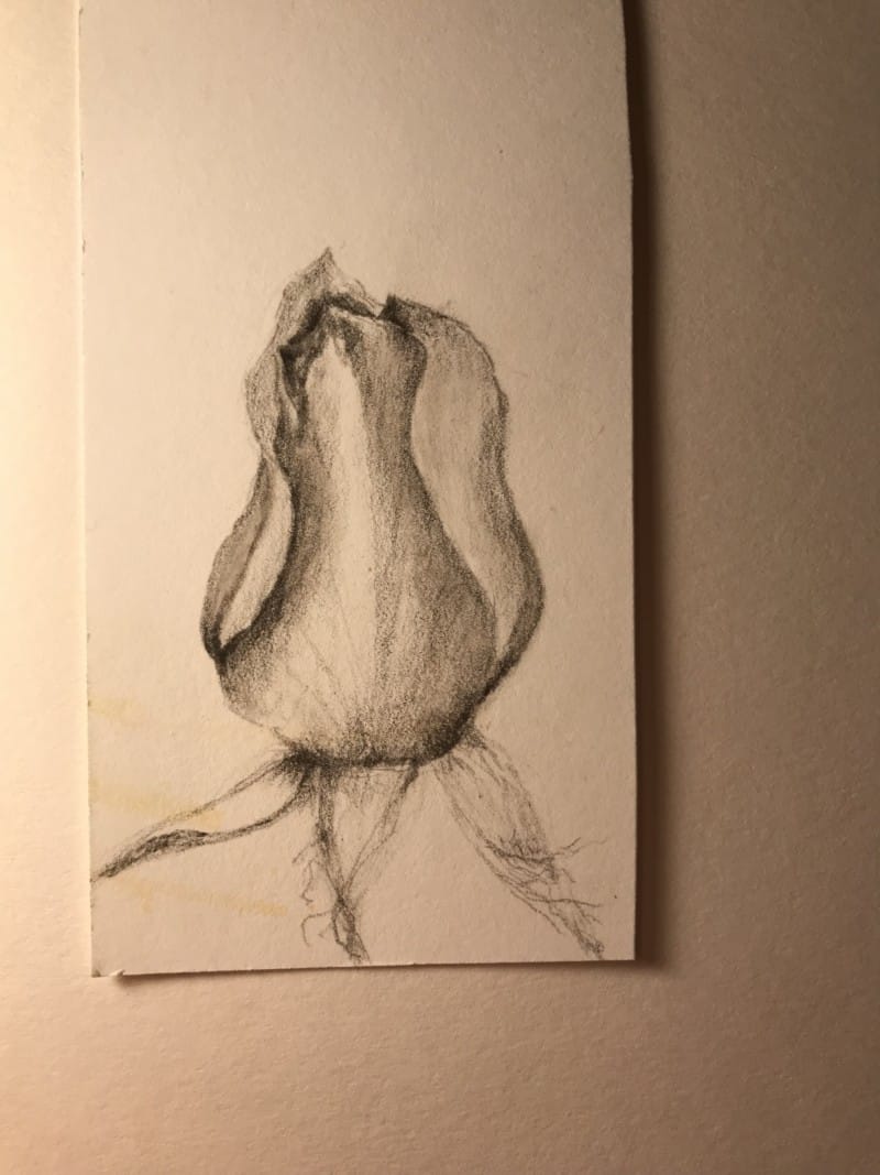 b193882a-ec5c-4556-b78e-04e295db4fda