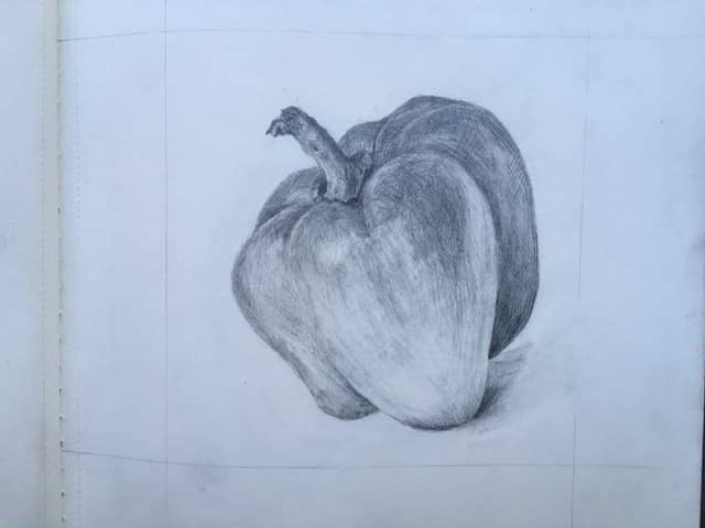 yellow-pepper-drawing