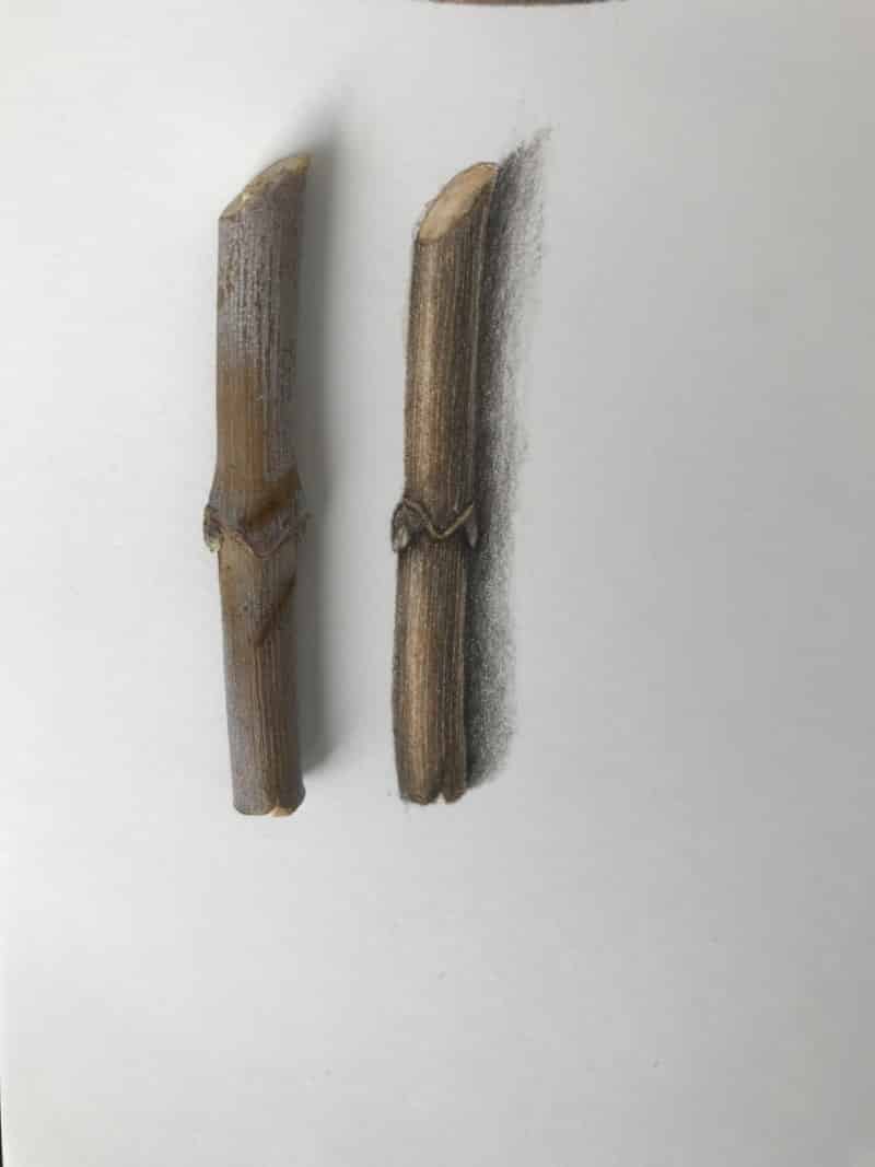 bd637b8c-7e5b-4d9c-b119-c667f965c0dd