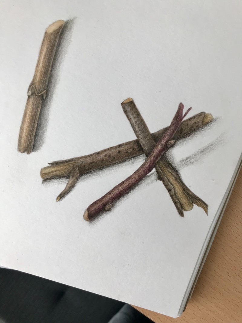 25537902-3e67-4e7c-a2ec-c2967a60f858