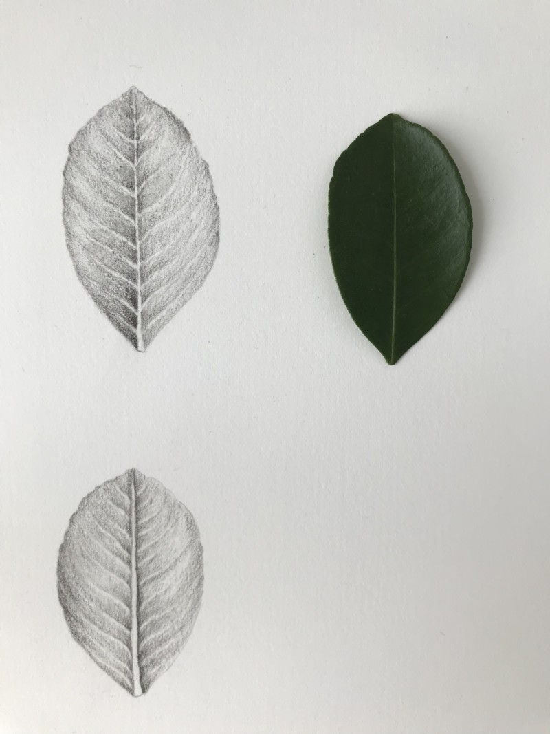 956db0d2-154e-471a-a946-7a857d118fe7