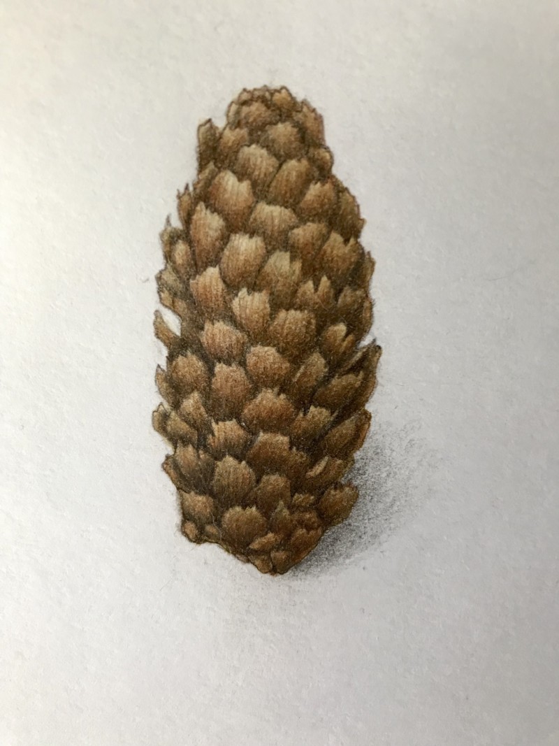 b5c8d79f-1a47-45fc-886e-f71bb81840c7