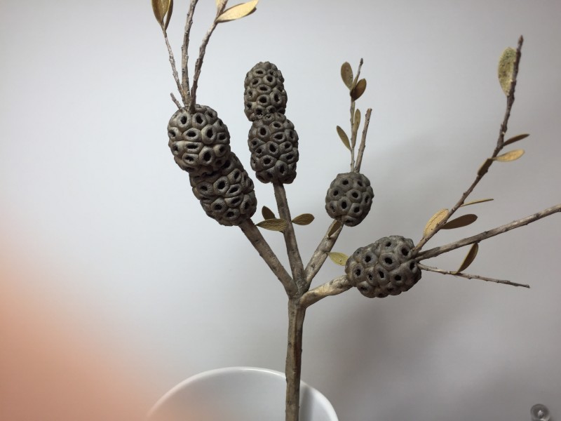 branch-nature