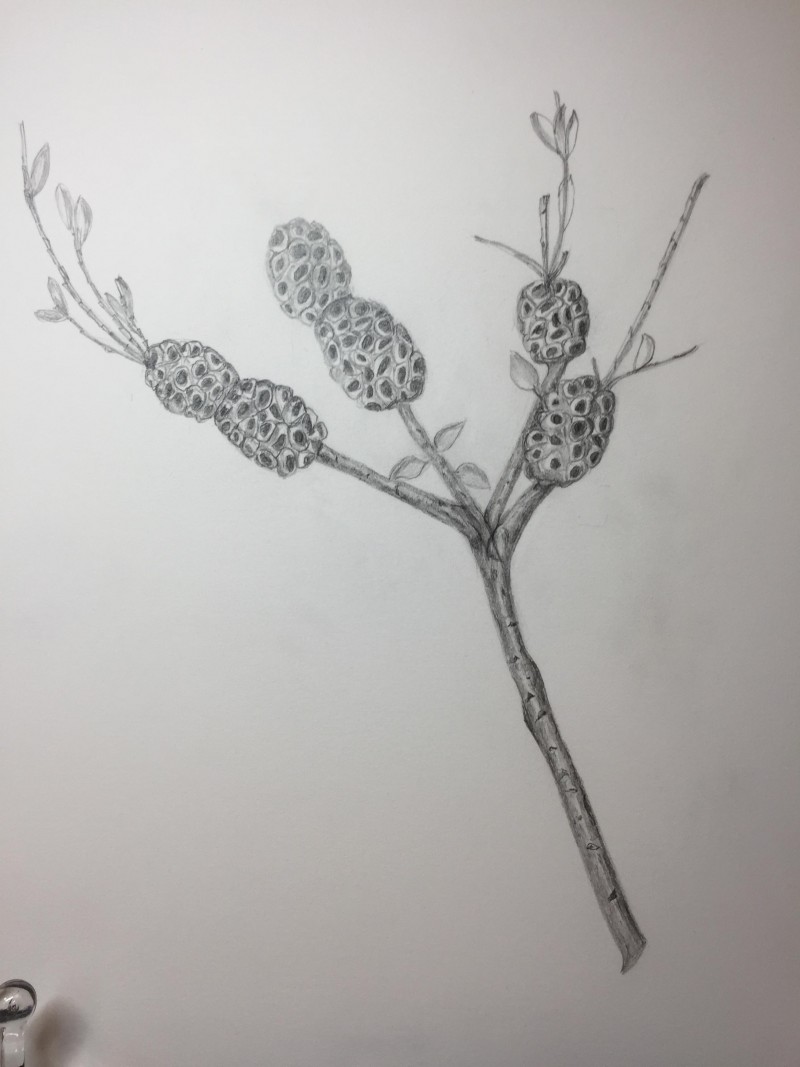 reworked-branch