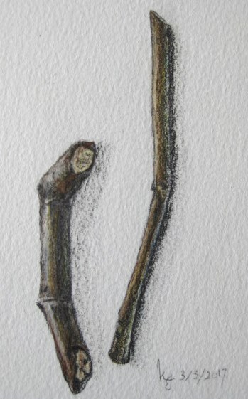 lesson-1-twig-1st-attempt