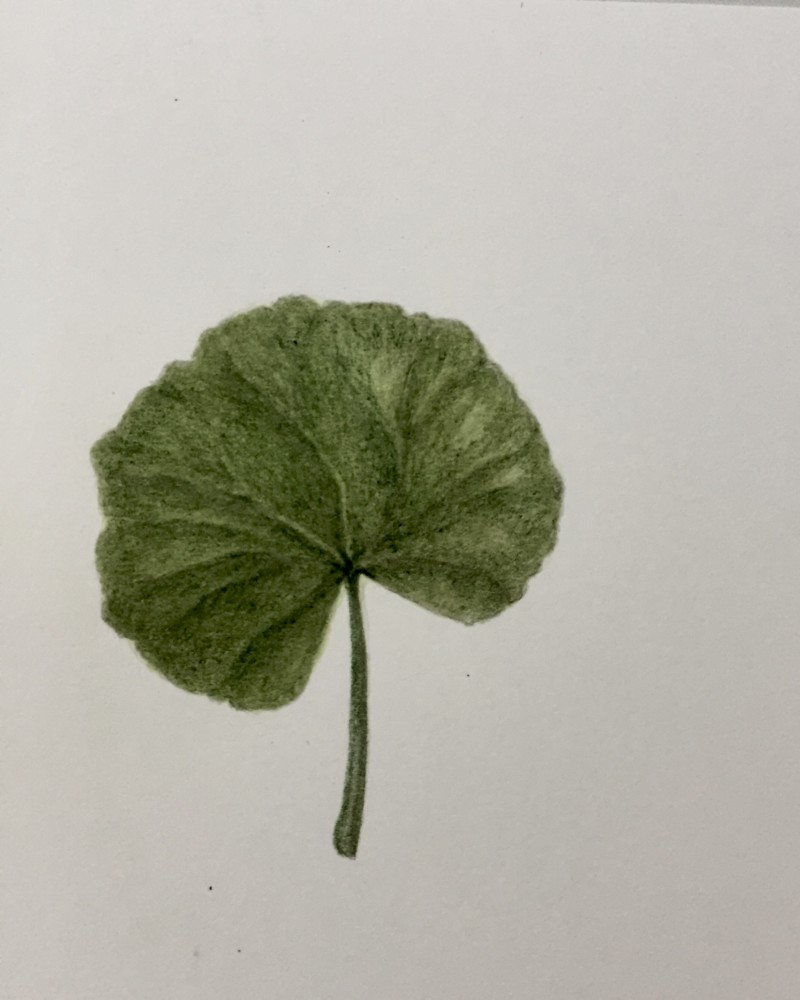 2e595fd7-2abd-4222-abf2-93ff4c9ed99f