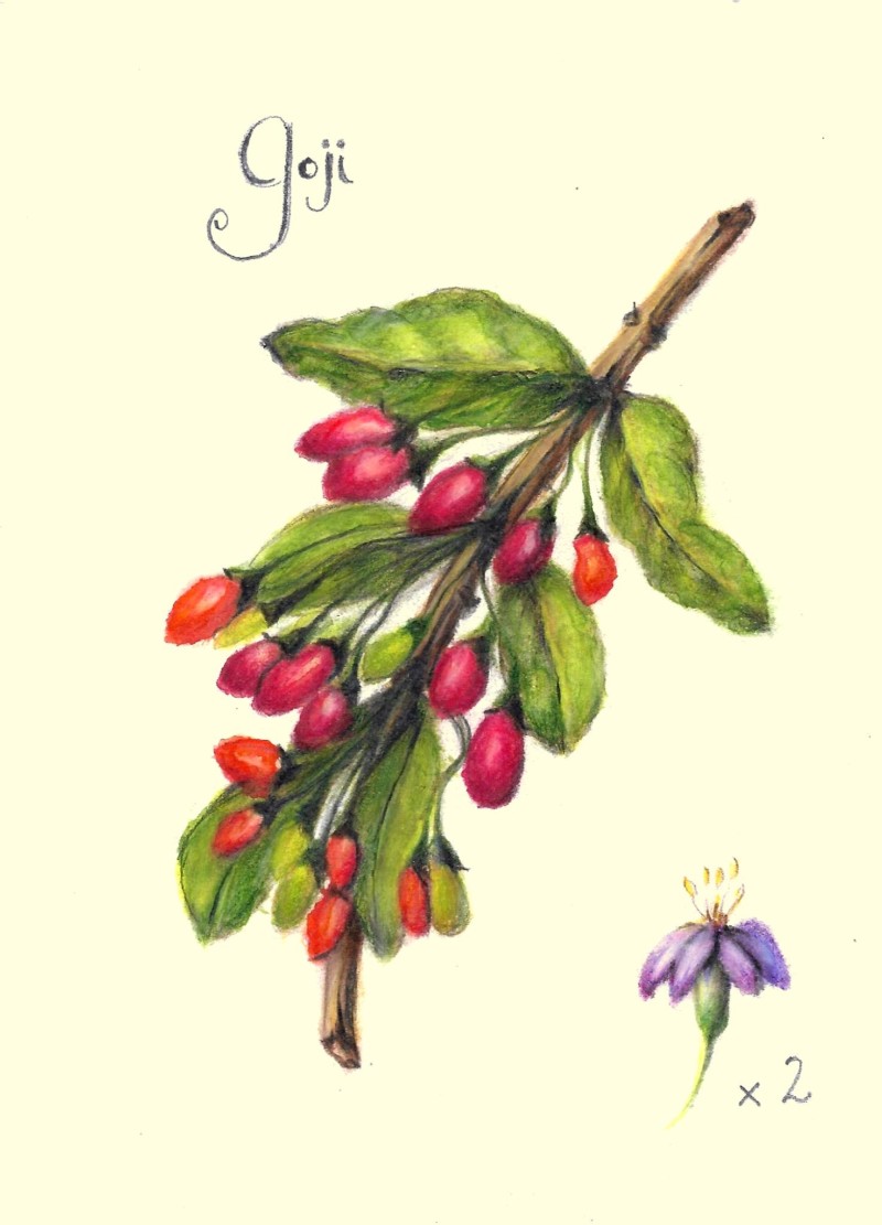goji2