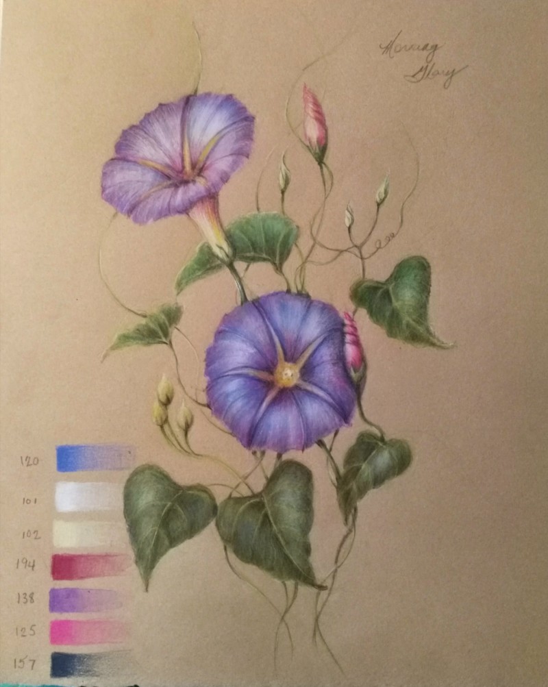 revised-leaves-shadows