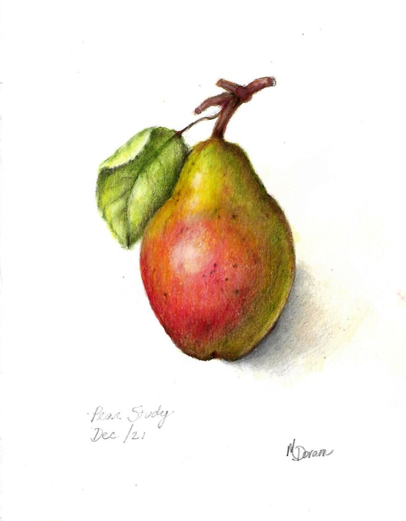 pear-study1