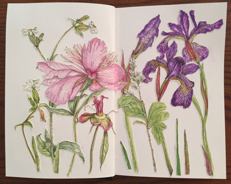 pink-and-purple