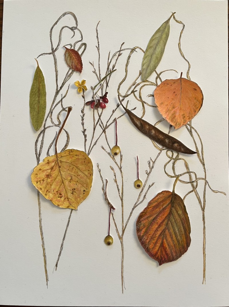 larger-leaf-top-left
