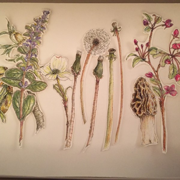 Drawings cut out, photo at night in box