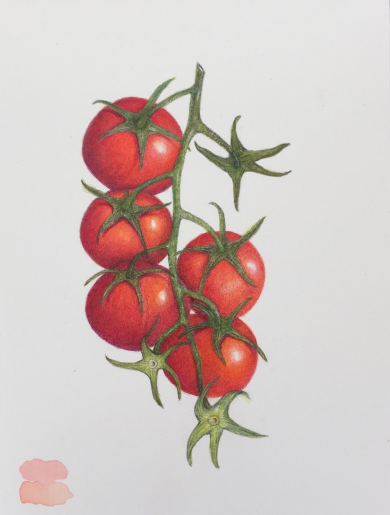 cherry-tomatoes-3