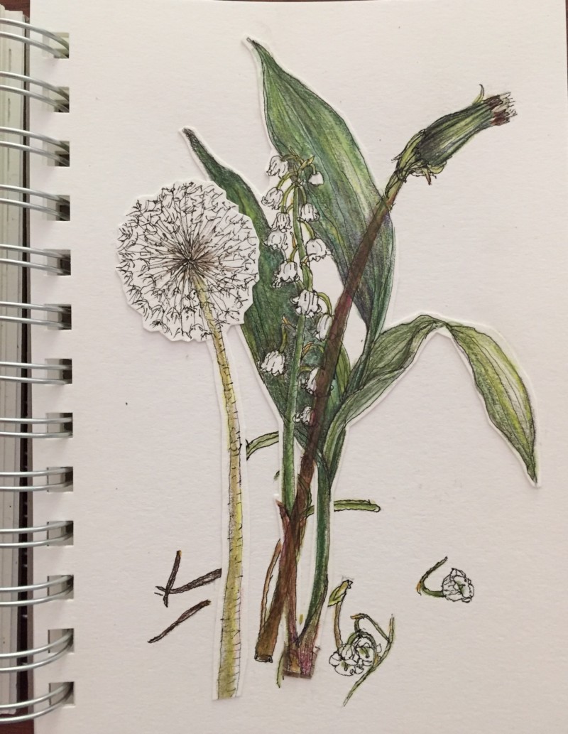green-and-white-study