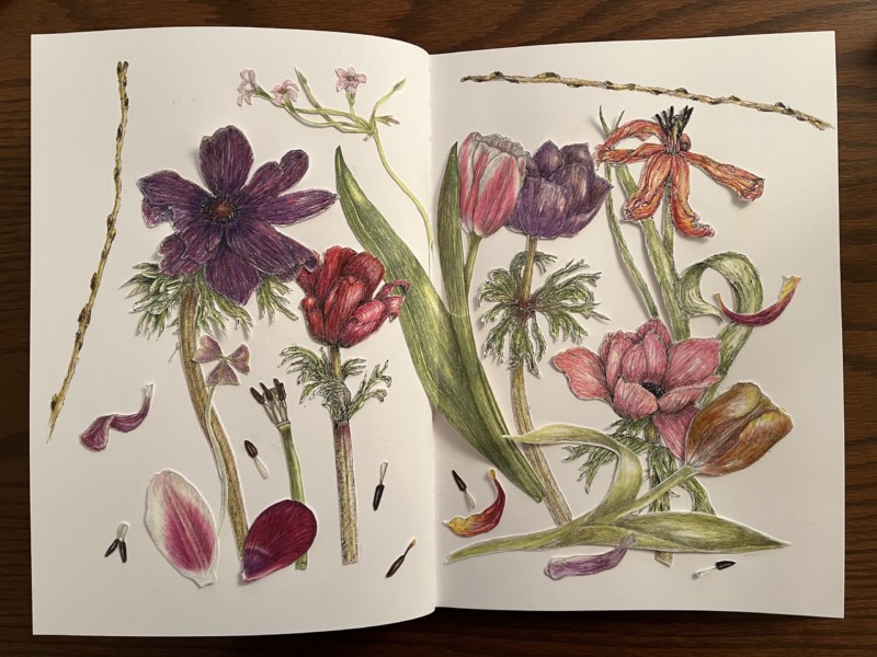 signs-of-spring