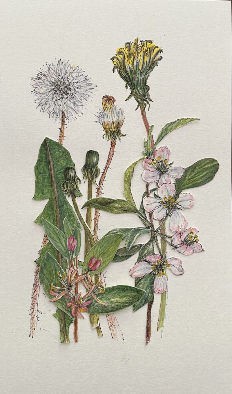 wildflowers