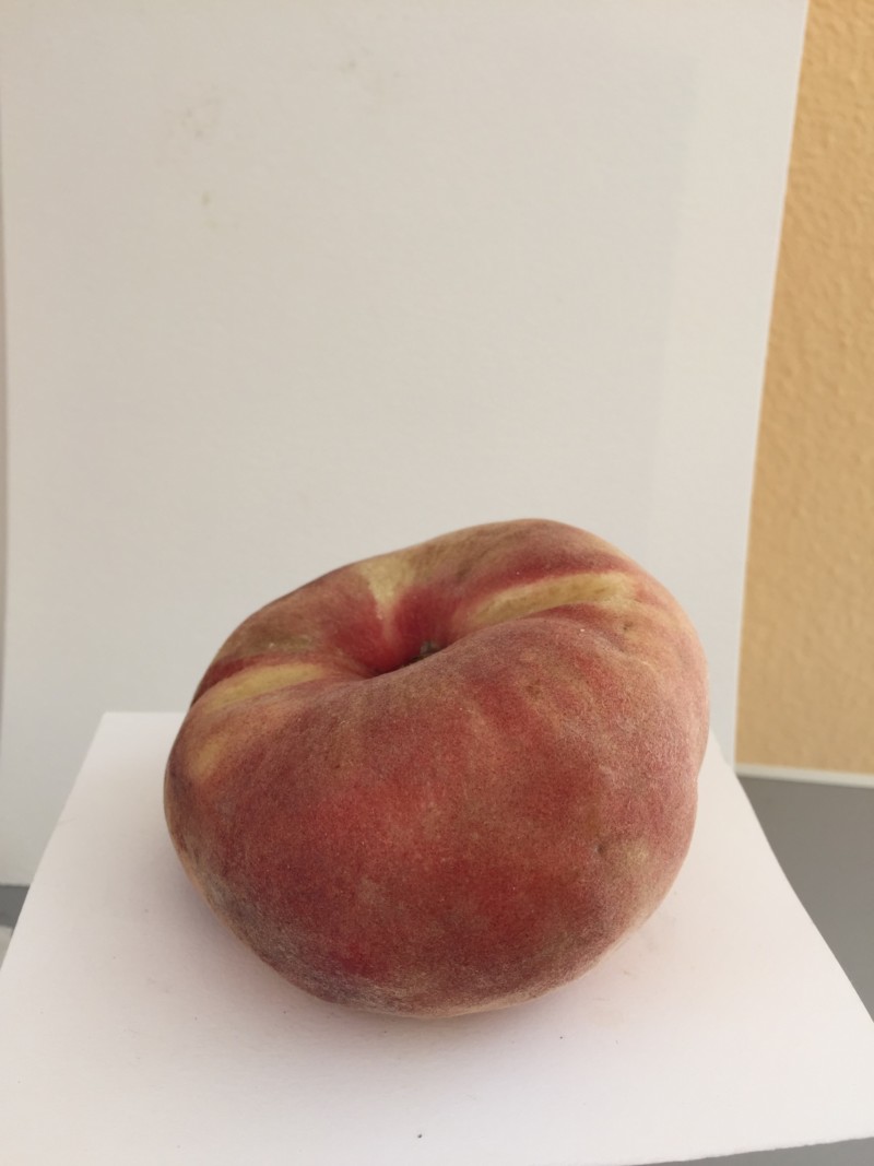 similar-donut-peach-to-show-fuzz