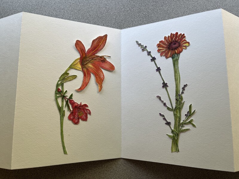 red-orange-and-purple