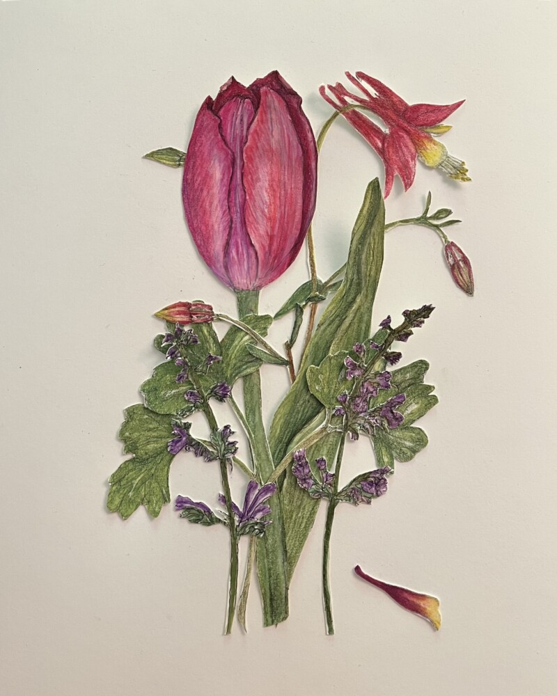 pink-tulip-and-friends