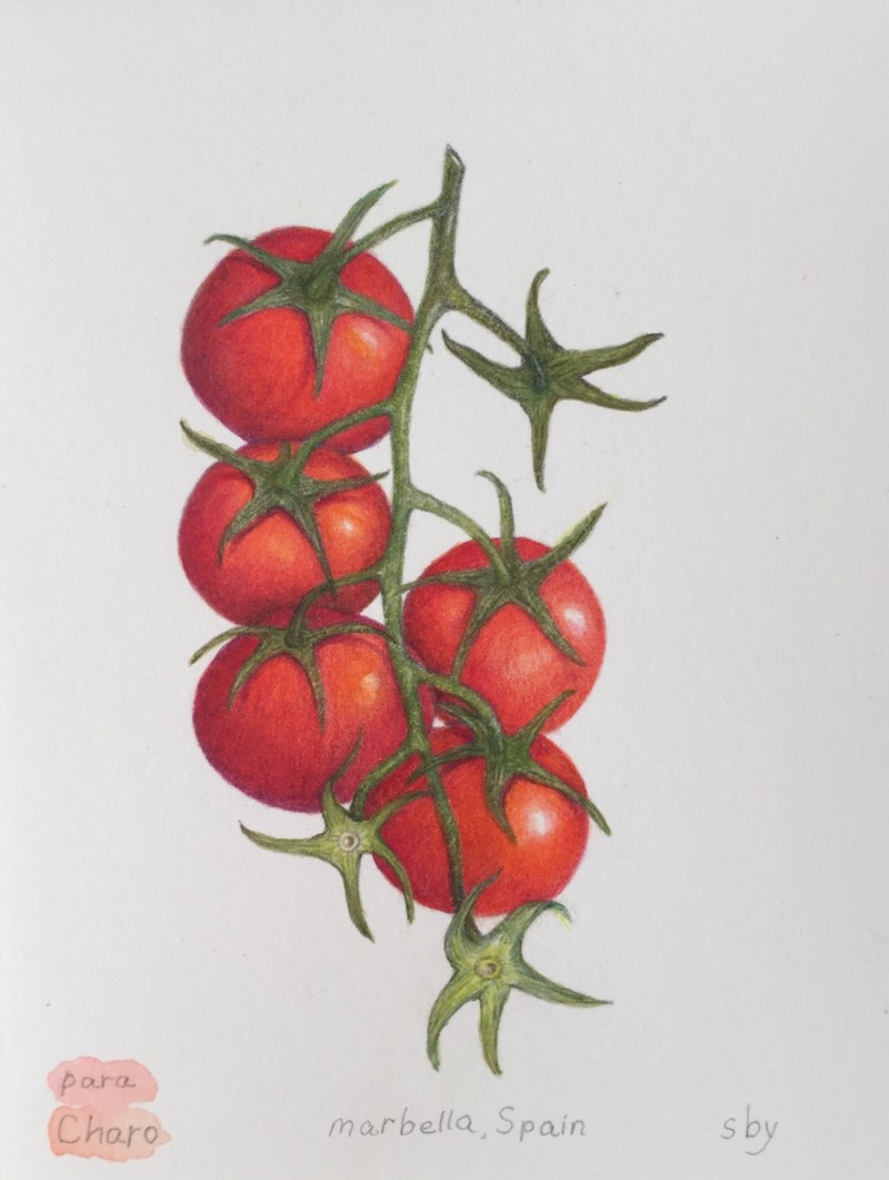 cherry-tomato-branch-with-highlights-adjusted