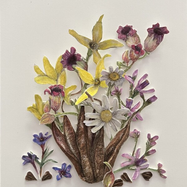 Spring basket, not glued 