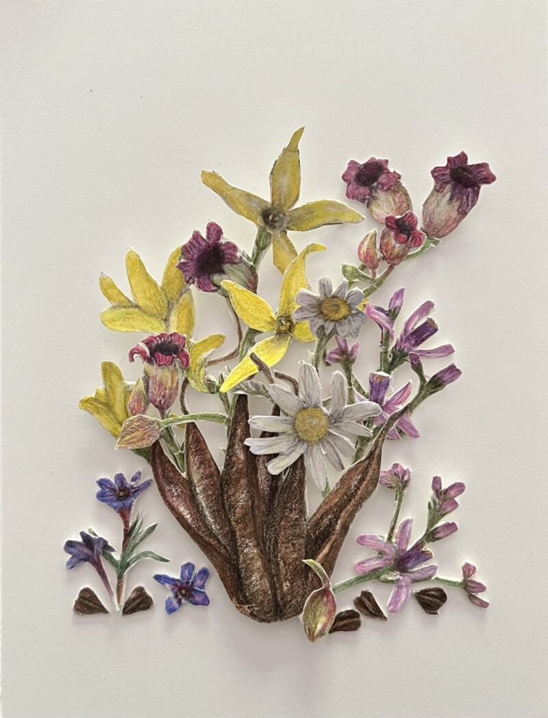spring-basket-not-glued