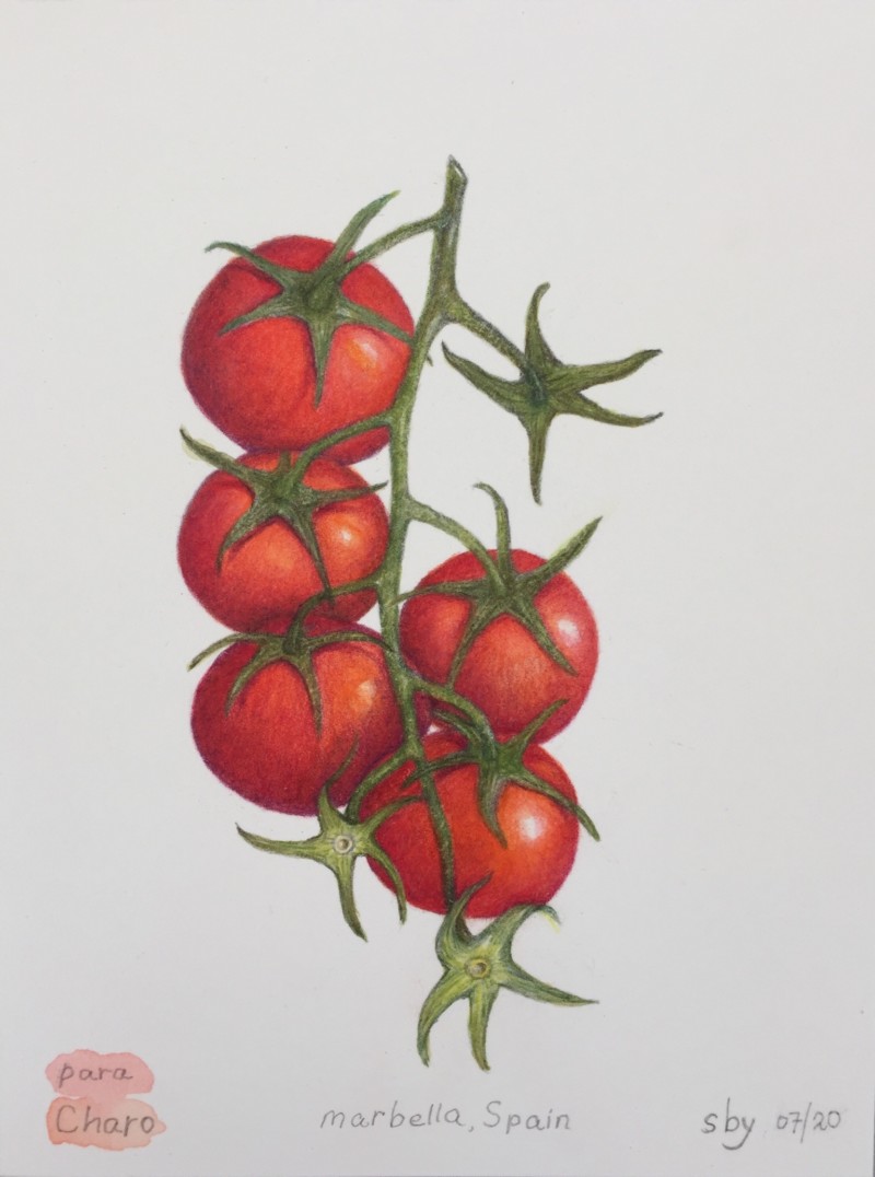 cherry-tomato-branch-with-more-toning