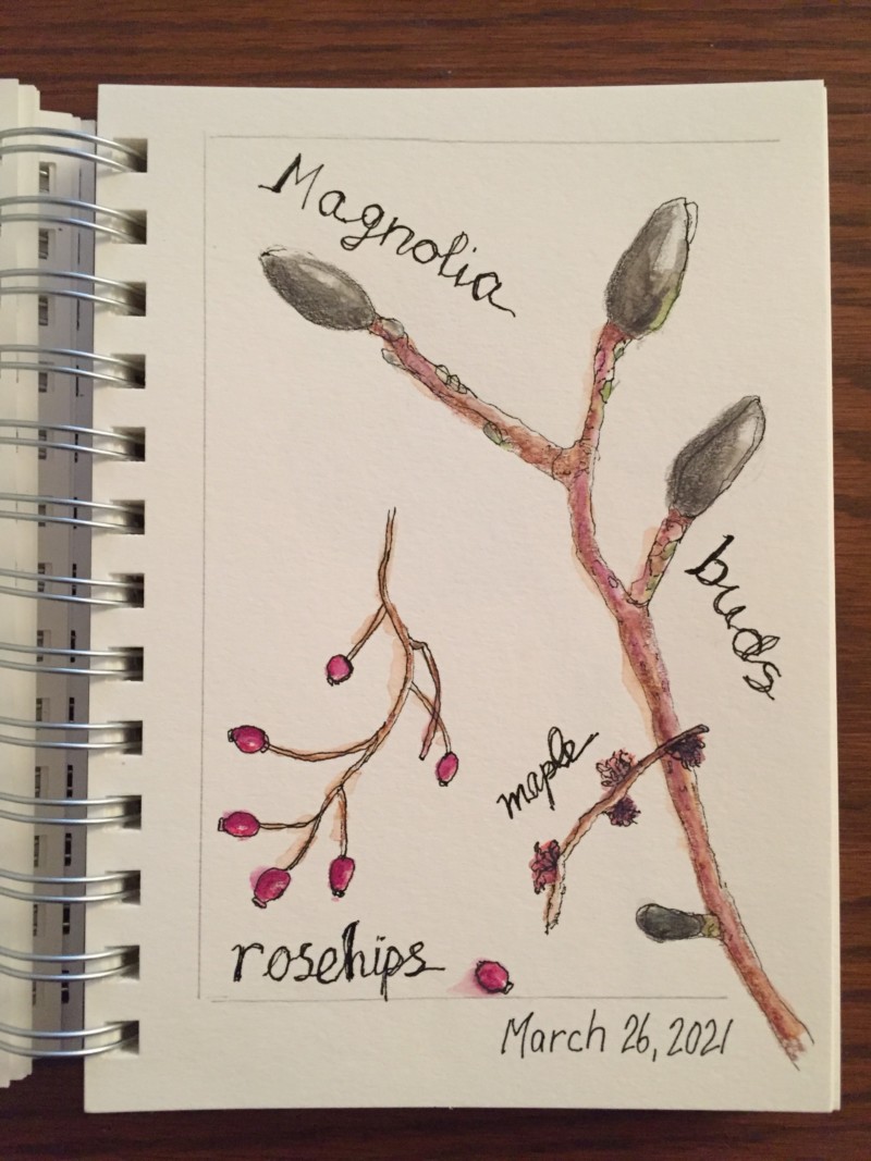 nature-sketchbooking-workshop-2