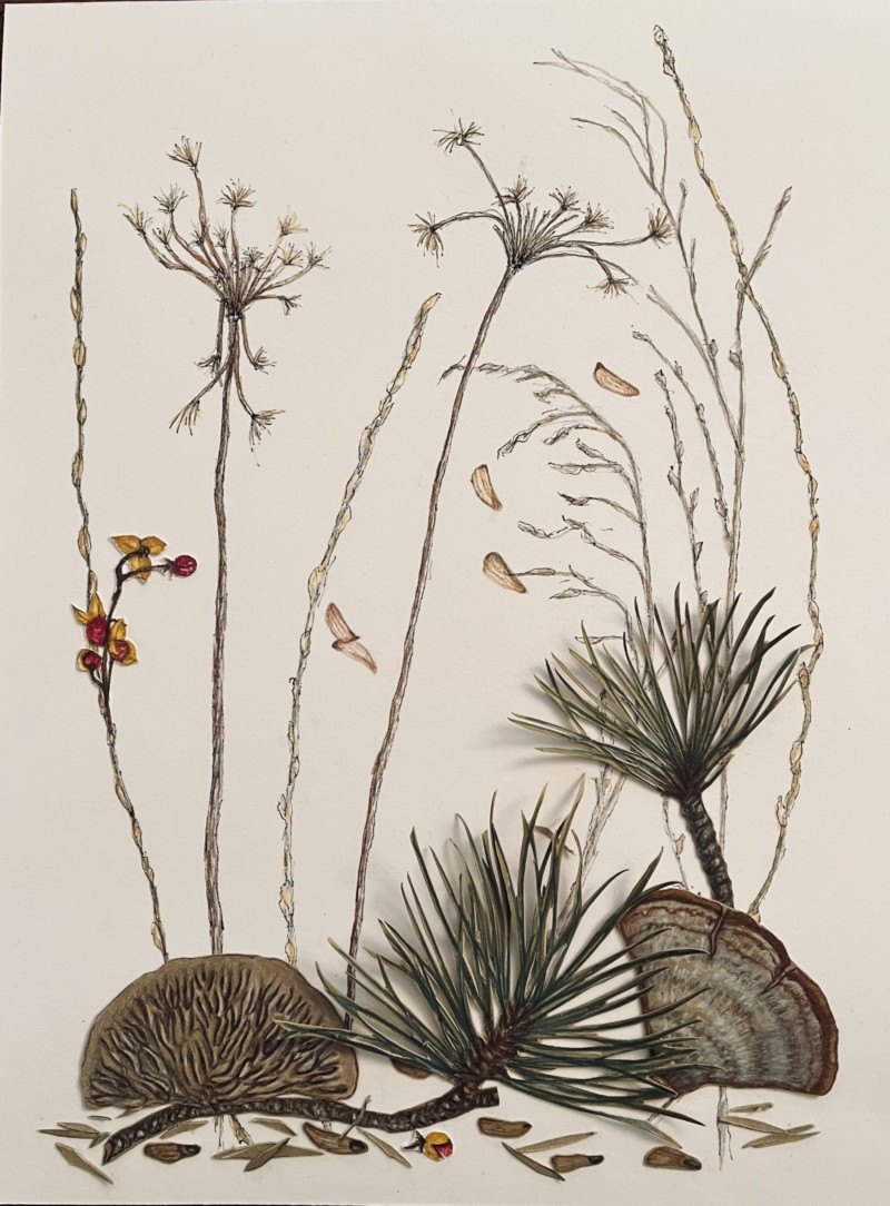 winter-finds-a-little-more-matter-on-the-ground