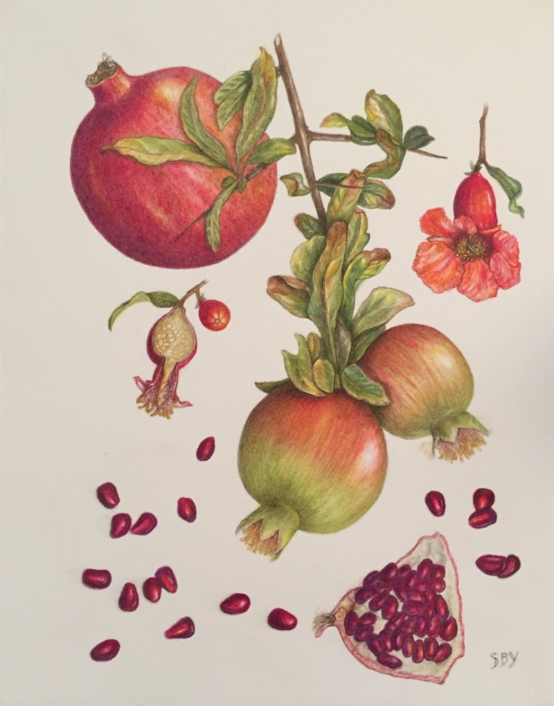 pomegranates-3