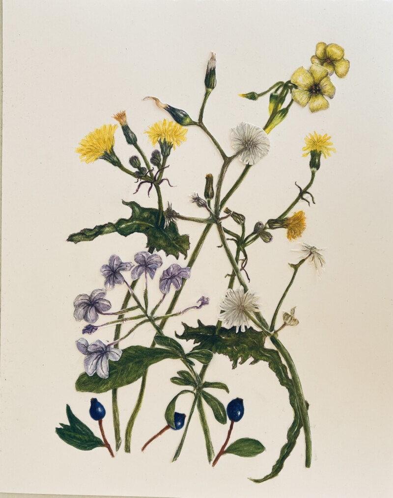 terrace-flowers