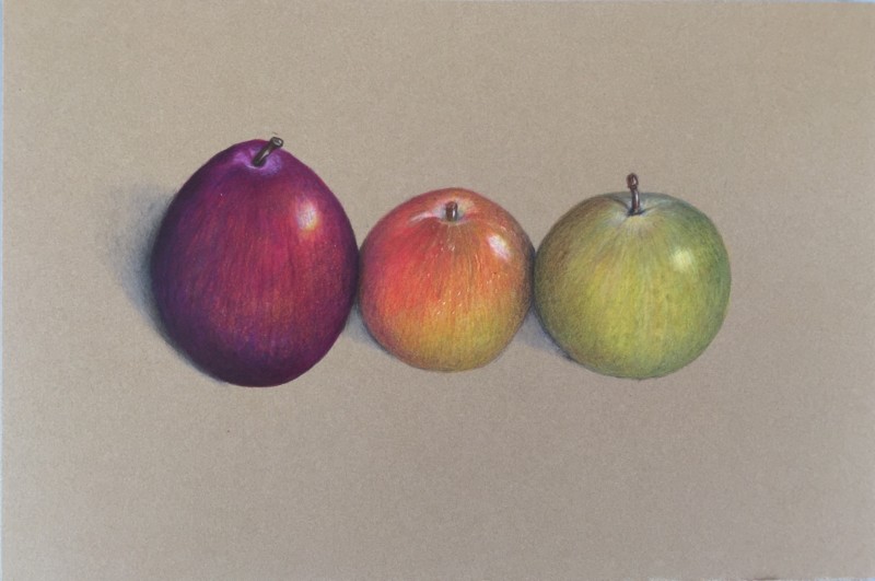 plums-with-highlight-moved