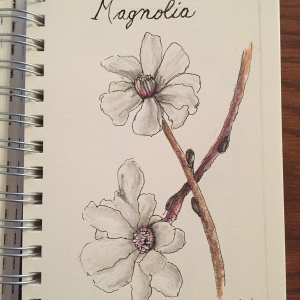 Nature Sketchbooking workshop