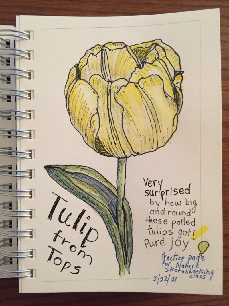 nature-sketchbooking-workshop