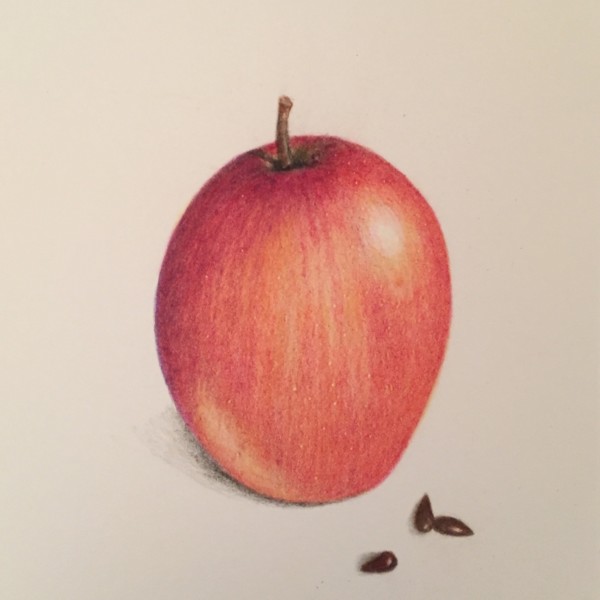 Fuji apple, study