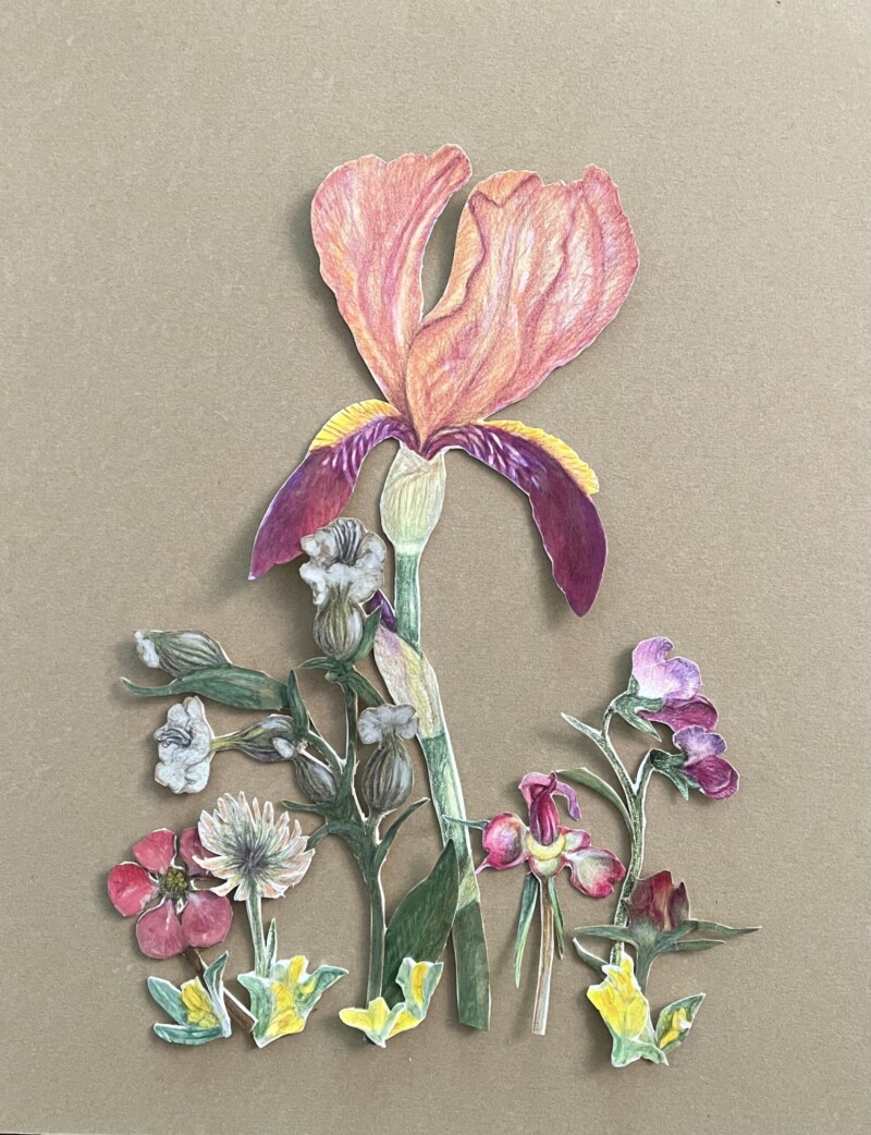iris-and-friends-not-glued-in-process