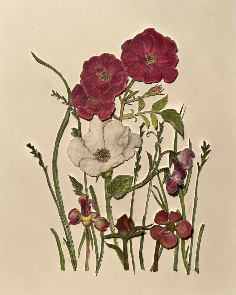 roses-and-friends-glued