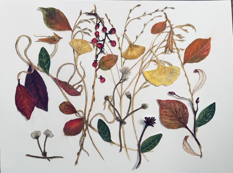 fall-garden-two-additions-bottom-right-not-glued
