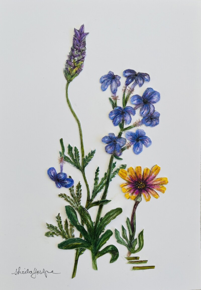 lavender-and-friends-small-gift-for-new-home