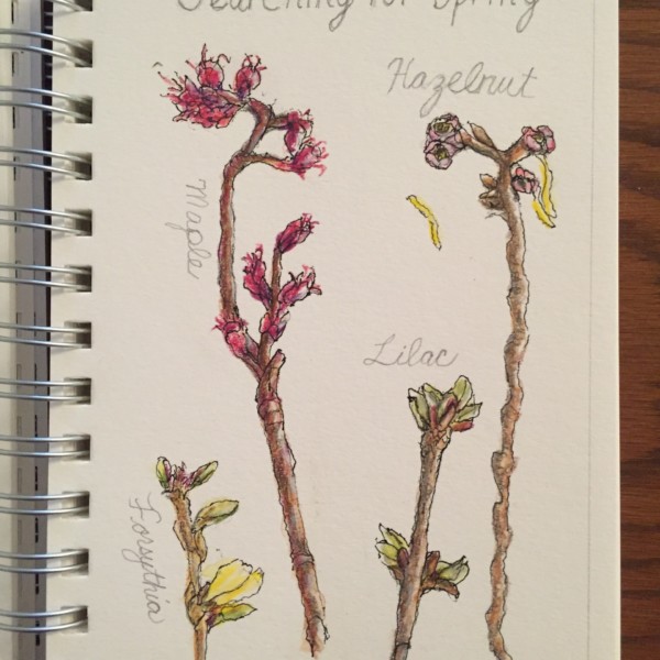 Nature Sketchbooking workshop