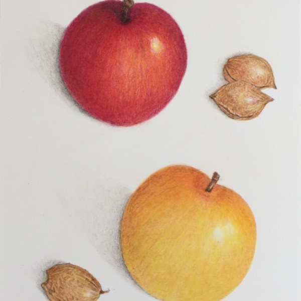 Plums and pits