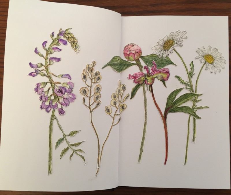 june-blooms